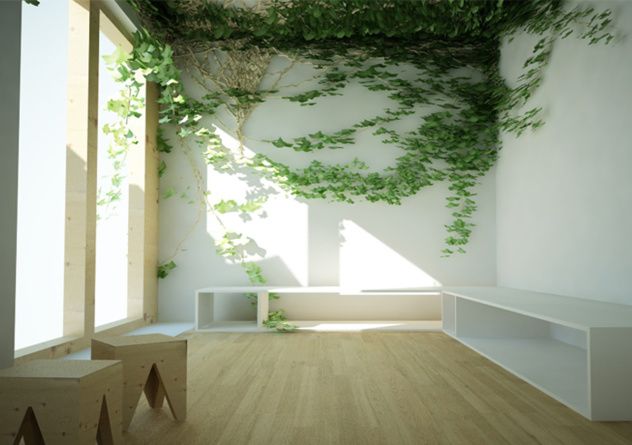 Aplicación con rodillo de pintura ecológica de arcilla sobre paramento interior.